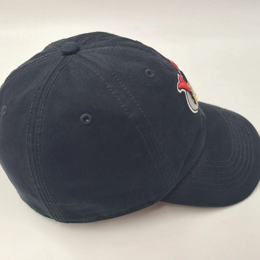 Tri-City ValleyCats Hat Fitted M 47 Brand Franchise Black MiLB Frontier League